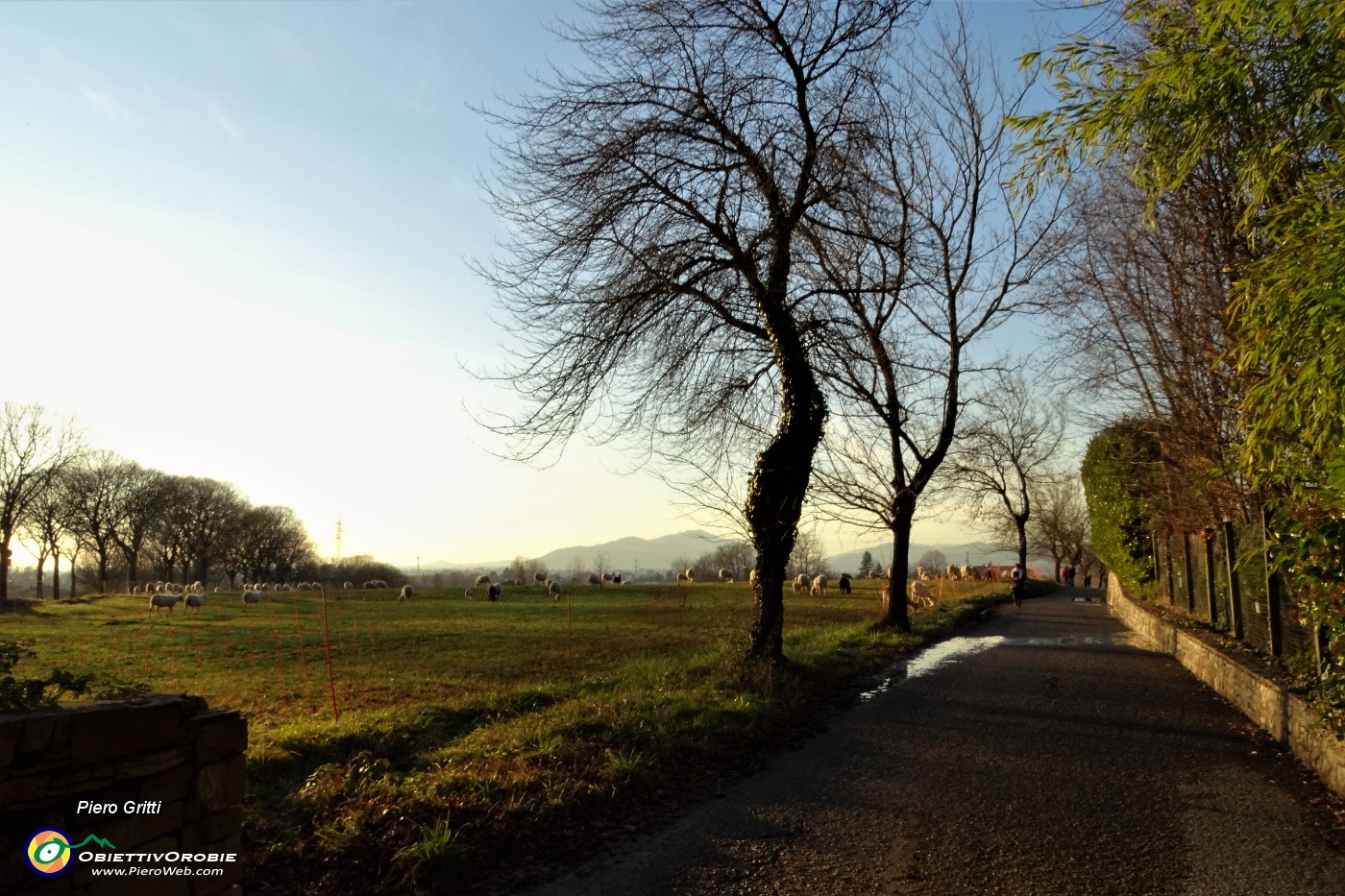 72 In via Madonna della Castagna.JPG